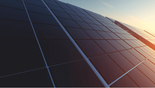 Montana Busch shared his thoughts about the potential ripple effects of Florida Governor DeSantis' veto