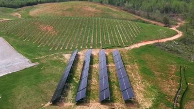 Yonah Mountain Vineyards Photo